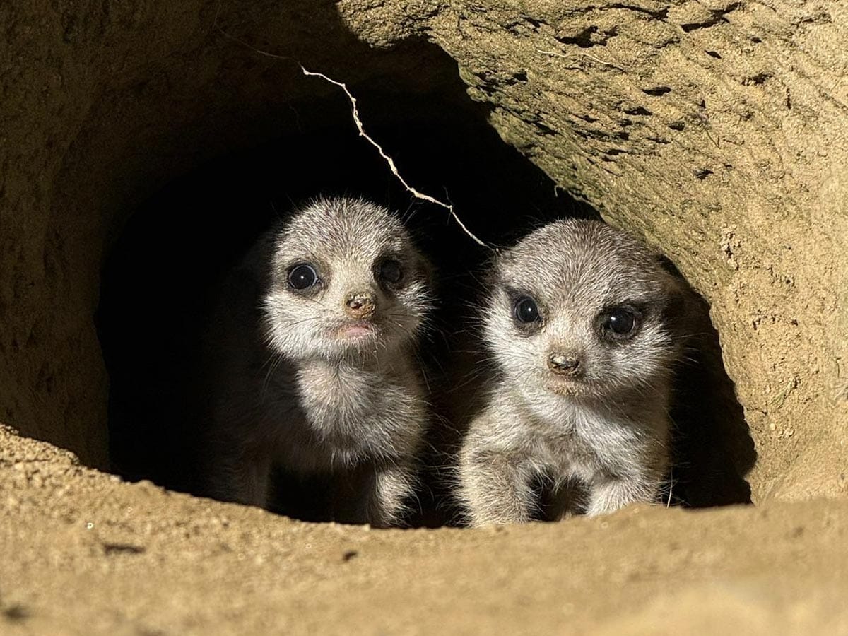 zoo-zagreb