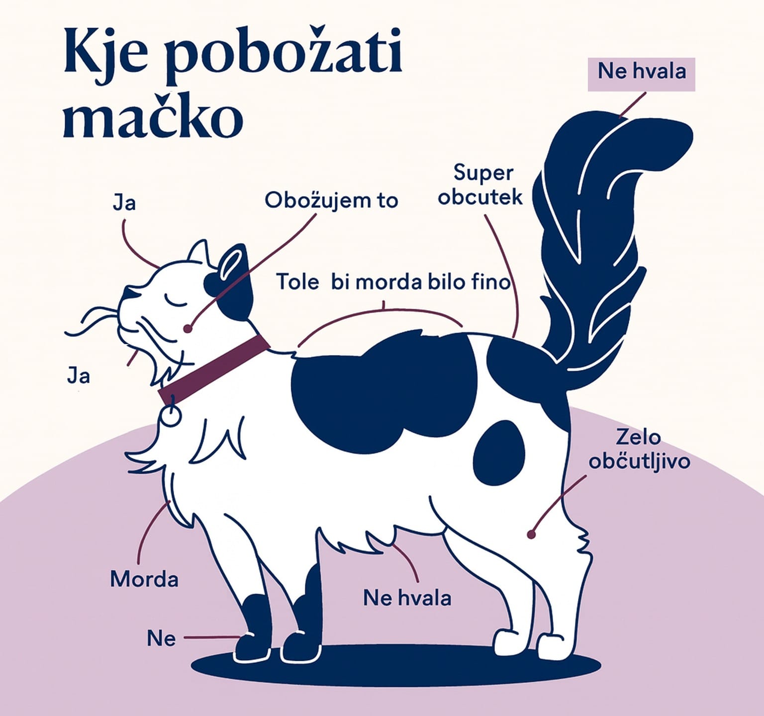 božanje-mačke