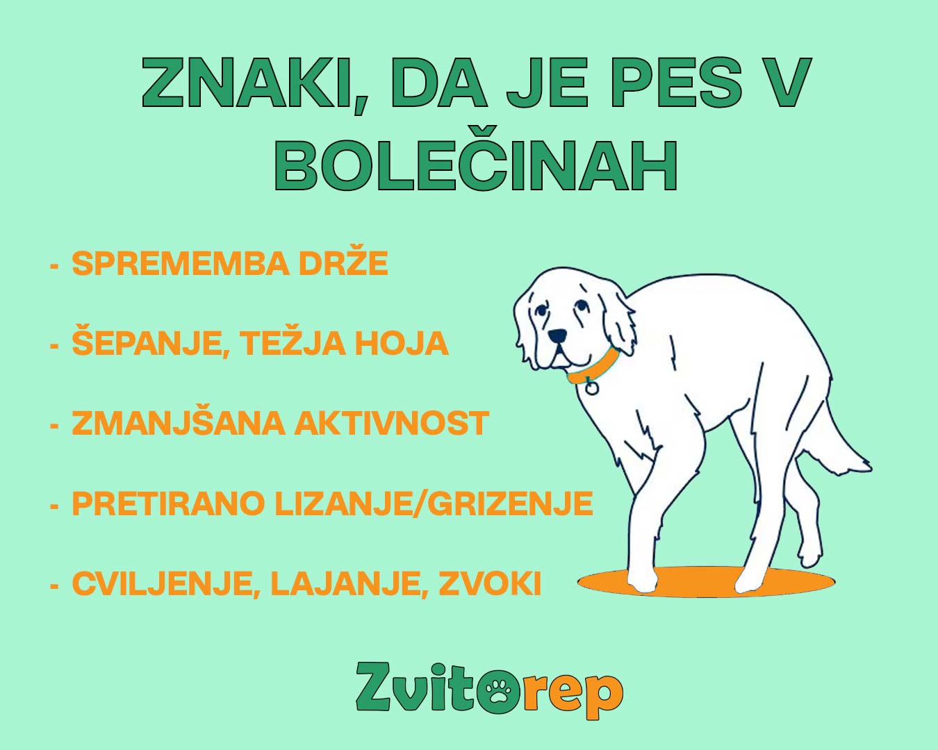 znaki-da-je-pes-v-bolečinah
